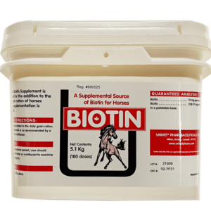 Biotin Supplement