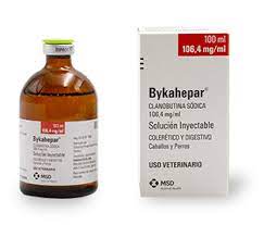 BYKAHEPAR 100 ML