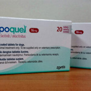 Apoquel 16mg