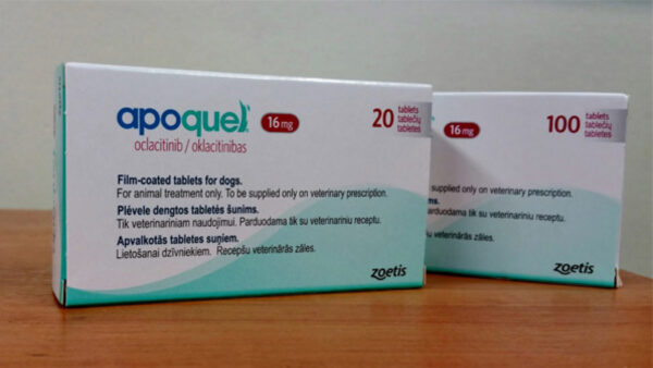 Apoquel 16mg