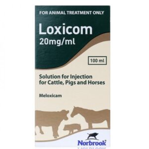 Loxicom 20mg/ 100ml Injection
