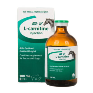 L-Carnitine 100ml Injection