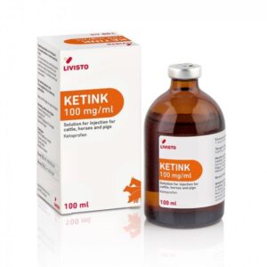Ketink 100mg/ml Injection 100ml
