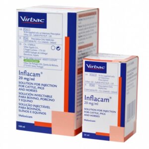 Inflacam 20mg/ml Injection 100ml