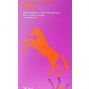 Rheumocam Equine 15mg/ml Oral Suspension