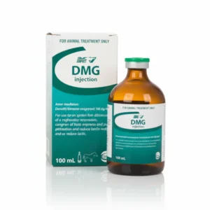 Dmg Injection