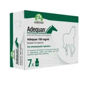 Adequan 100mg/ml Solution for Injection