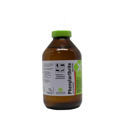 Phenylarthrite 100ml