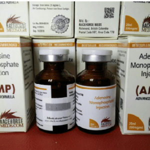 Adenosine Monophosphate (AMP)