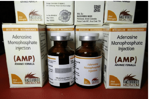 Adenosine Monophosphate (AMP)